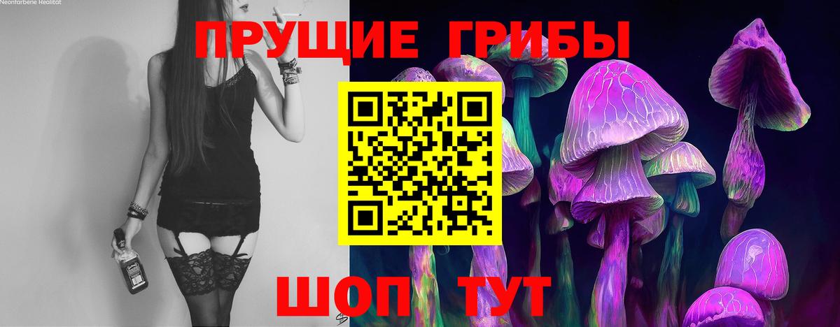 Галлюциногенные грибы Psilocybine cubensis  Вход с VPN  Сосновоборск  Галлюциногенные грибы GOLDEN TEACHER 